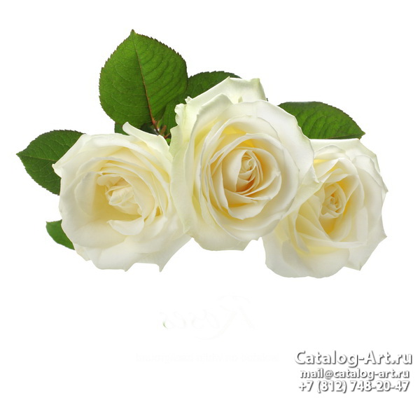 Натяжные потолки с фотопечатью - Белые розы 9
